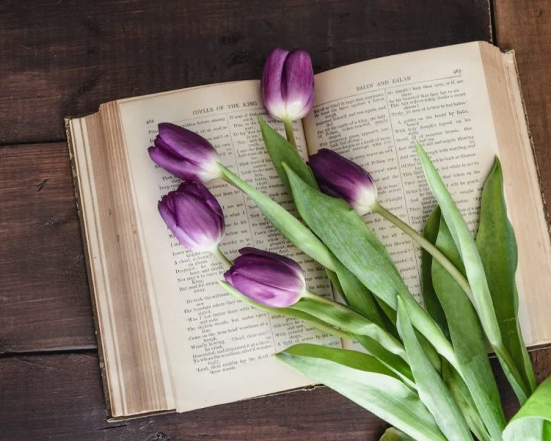 Sử dụng kỹ năng đọc sâu trong IELTS – IELTS Reading