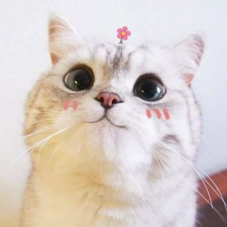 Profile picture of Trinh